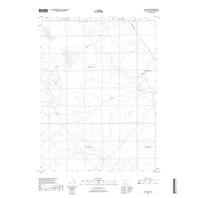 2017 Map of Blue Point, 2017 Print