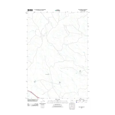 2011 Map of Blue Spring, 2011 Print