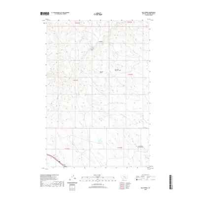 2020 Map of Blue Spring, 2020 Print