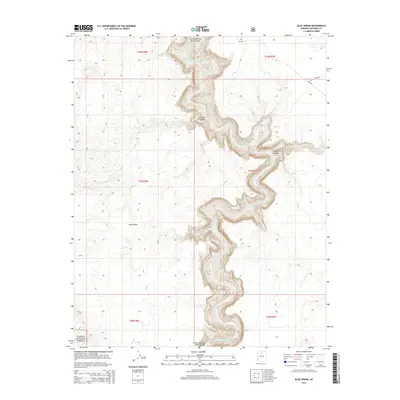 2014 Map of Blue Spring, 2014 Print