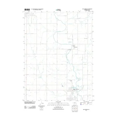 2011 Map of Blue Springs, 2011 Print