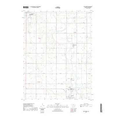 2017 Map of Blue Springs, 2017 Print