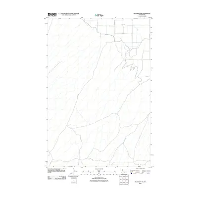 2011 Map of Bluelight NW, 2011 Print