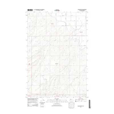 2013 Map of Bluelight NW, 2013 Print