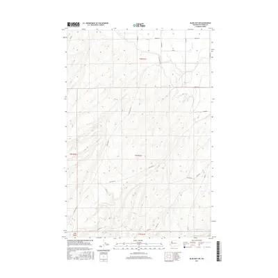 2017 Map of Bluelight NW, 2017 Print
