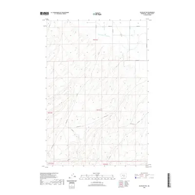 2020 Map of Bluelight NW, 2020 Print