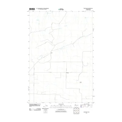 2011 Map of Bluelight, 2011 Print