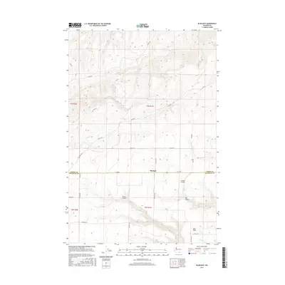 2017 Map of Bluelight, 2017 Print