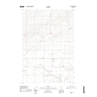 2020 Map of Bluelight, 2020 Print