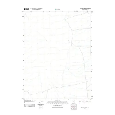 2011 Map of Bluewing Spring, 2011 Print