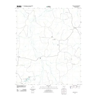 2011 Map of Bluff City, 2011 Print