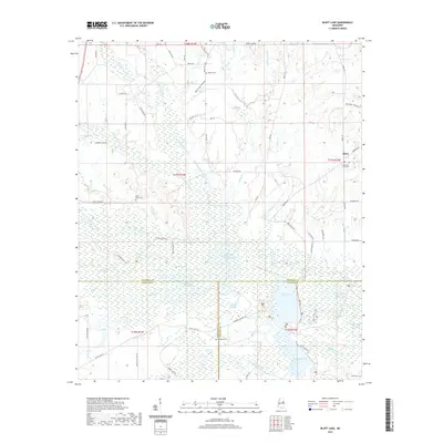2021 Map of Bluff Lake, 2021 Print
