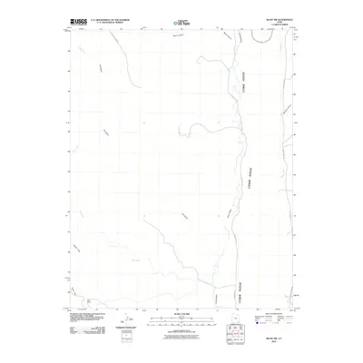 2010 Map of Bluff NW, 2010 Print