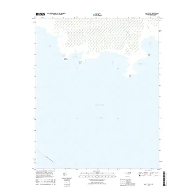 2016 Map of Bluff Point, 2016 Print