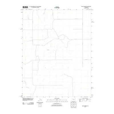2010 Map of Bluff Spring, 2010 Print