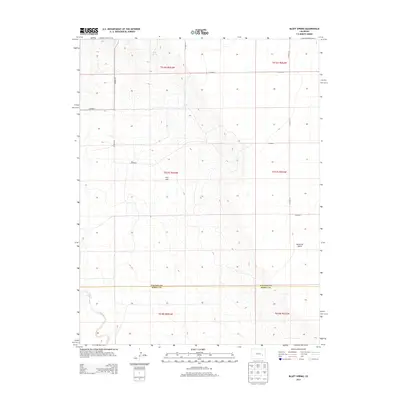 2013 Map of Bluff Spring, 2013 Print