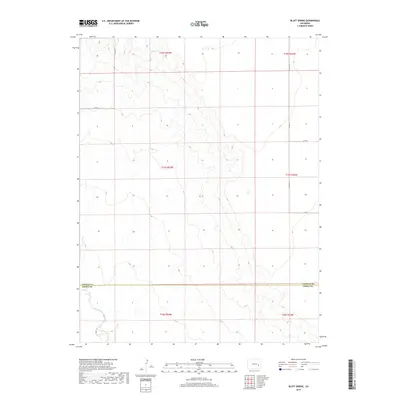 2019 Map of Bluff Spring, 2019 Print