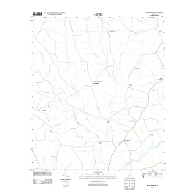 2011 Map of Bluff Springs, 2011 Print