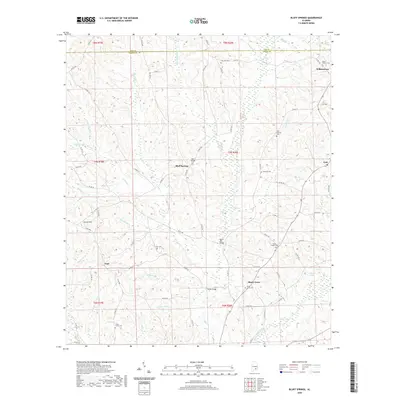 2020 Map of Bluff Springs, 2020 Print