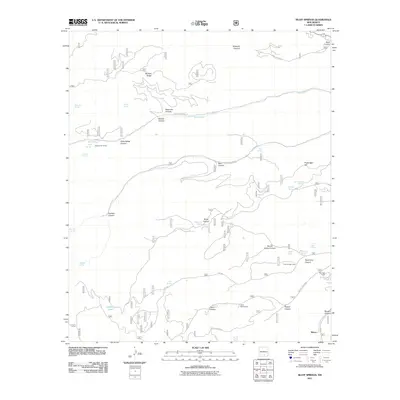 2011 Map of Bluff Springs, 2011 Print