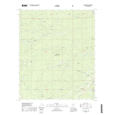 2020 Map of Bluff Springs, 2020 Print