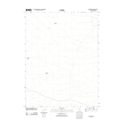 2011 Map of Bob Spring, 2011 Print