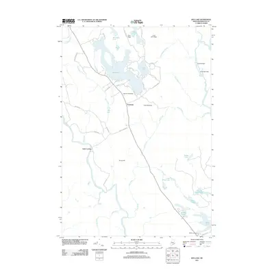 2011 Map of Bog Lake, 2011 Print