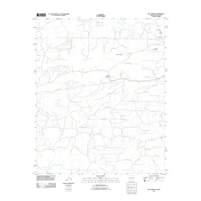 2011 Map of Bog Springs, 2011 Print