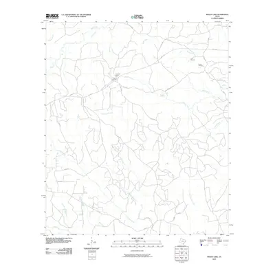 2010 Map of Boggy Lake, 2010 Print