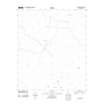 2011 Map of Bonita Spring, 2011 Print