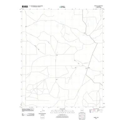 2010 Map of Borica, 2010 Print