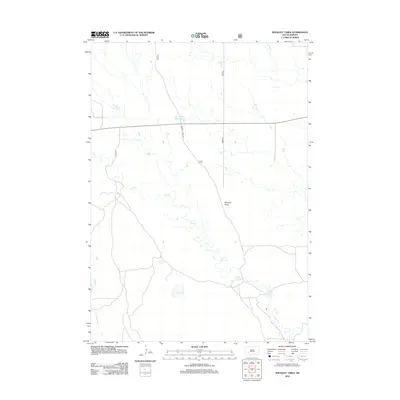 2012 Map of Bouquet Table, 2012 Print
