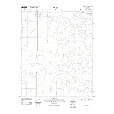 2010 Map of Bowers City, 2010 Print