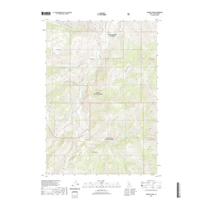 2020 Map of Bowery Creek, 2020 Print