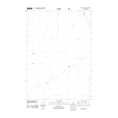 2011 Map of Bowery Peak, 2011 Print