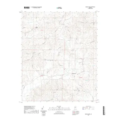 2020 Map of Bowling Green, 2020 Print