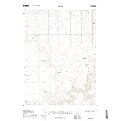 2020 Map of Brace Flat, 2020 Print