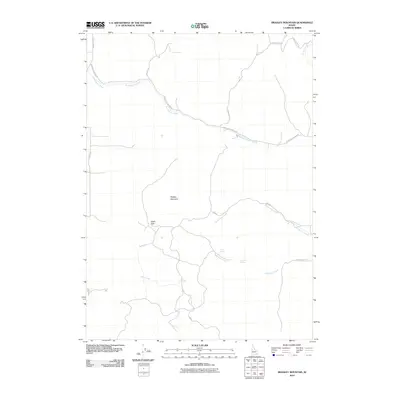 2010 Map of Bradley Mountain, 2010 Print