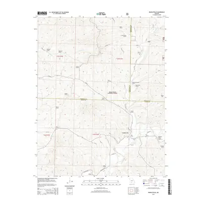 2015 Map of Bradleyville, 2015 Print