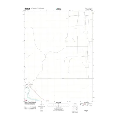 2011 Map of Brady, 2011 Print