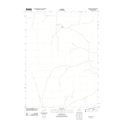 2011 Map of Brady NW, 2011 Print