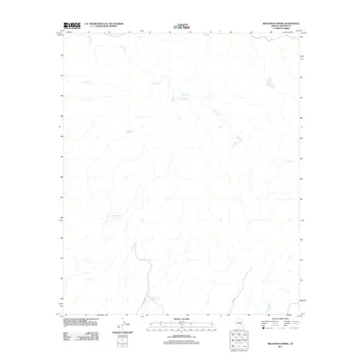 2011 Map of Branaman Spring, 2011 Print