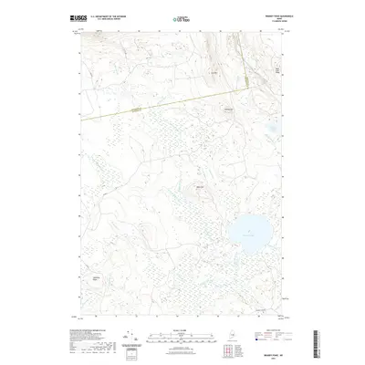 2021 Map of Brandy Pond, 2021 Print