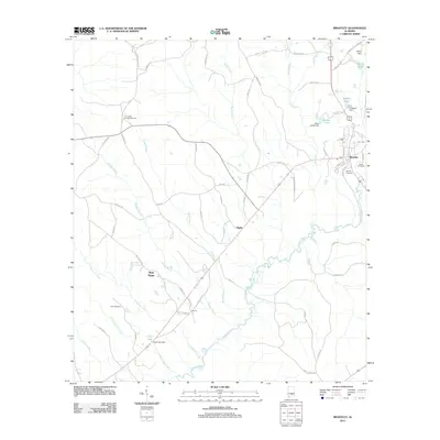 2011 Map of Brantley, 2011 Print