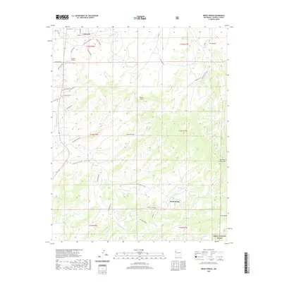 2020 Map of Bread Springs, 2020 Print
