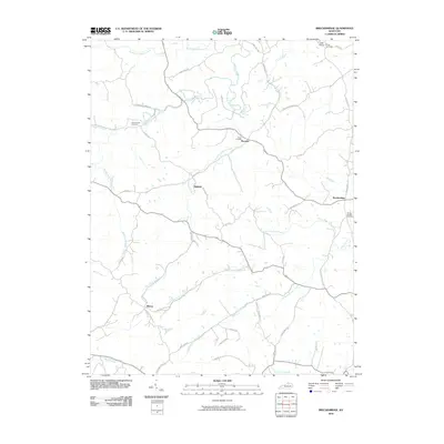 2010 Map of Breckinridge, 2010 Print