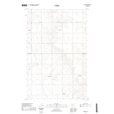 2020 Map of Bredette, 2020 Print