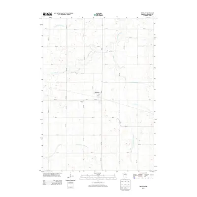 2013 Map of Bricelyn, 2013 Print
