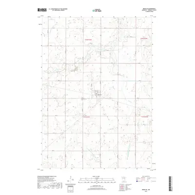 2019 Map of Bricelyn, 2019 Print