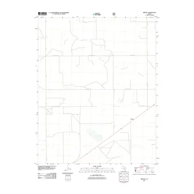 2010 Map of Brickel, 2010 Print